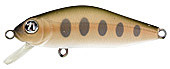 R02od.jpg