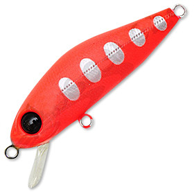 vobler_pontoon_21_crackjack_r45_m.jpg