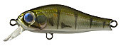 513mq.jpg