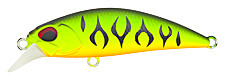 Spearhead Ryuki_0019_P59qm.jpg
