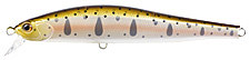 851u9.jpg