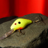 Chartreuse DRB407rs.jpg