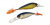 Воблeры Yo-Zuri SASHIMI SHAD FW 70 SP 70mm 9.5 гр суспендер R1018-CMTS