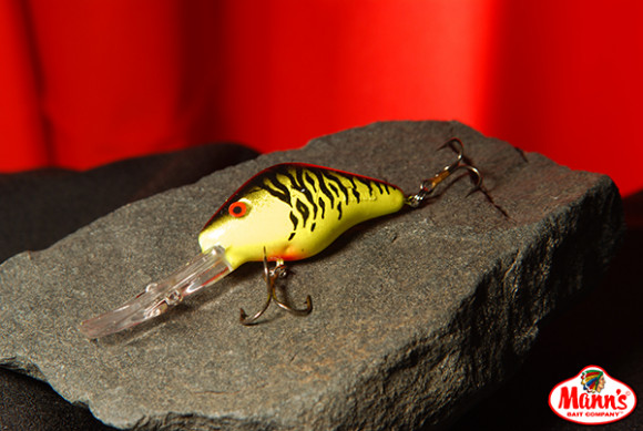 Fire Shad DRB466qo.jpg
