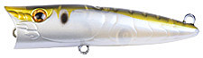 18n1.jpg