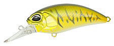 602cf.jpg