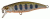 P21-PSH55F-DR-A50  Воблер Pontoon21 PREFERENCE SHAD 55F-DR, 55 мм.,3.9 гр., 0.8-1.2м, цвет A50  