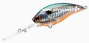 R1108-psh.JPG