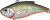 Воблер Zipbaits Calibra 75 027