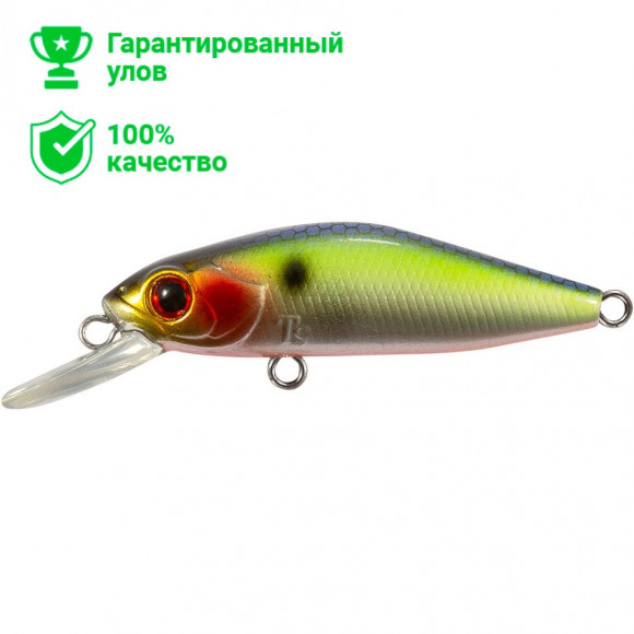 Воблер TsuYoki REBUS MR 48SP 207R