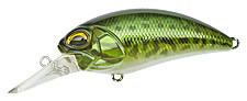53j8.jpg