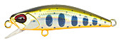 568h1.jpg