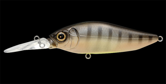 pm bream.jpg