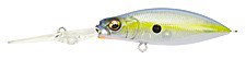 GP Sexy Shad 24.jpg