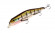 Воблеры ZIPBAITS ORBIT 110 SP-SR 16,5 г, - 0,8-1,0 м. 509М Воблеры ZIPBAITS ORBIT 110 SP-SR 16,5 г, - 0,8-1,0 м. 509М