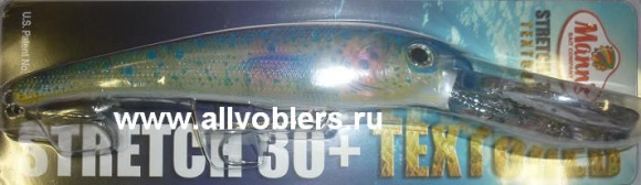 t30-02.JPG